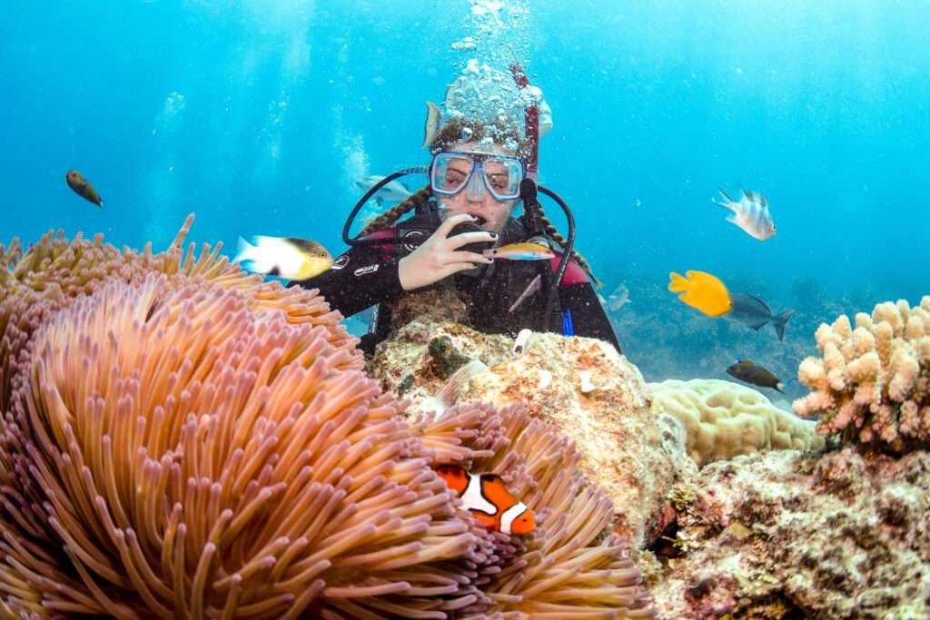 great barrier reef, Your Bucket List Guide to Diving The Great Barrier Reef