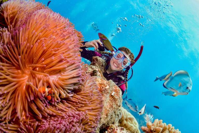 Your Bucket List Guide to Diving The Great Barrier Reef