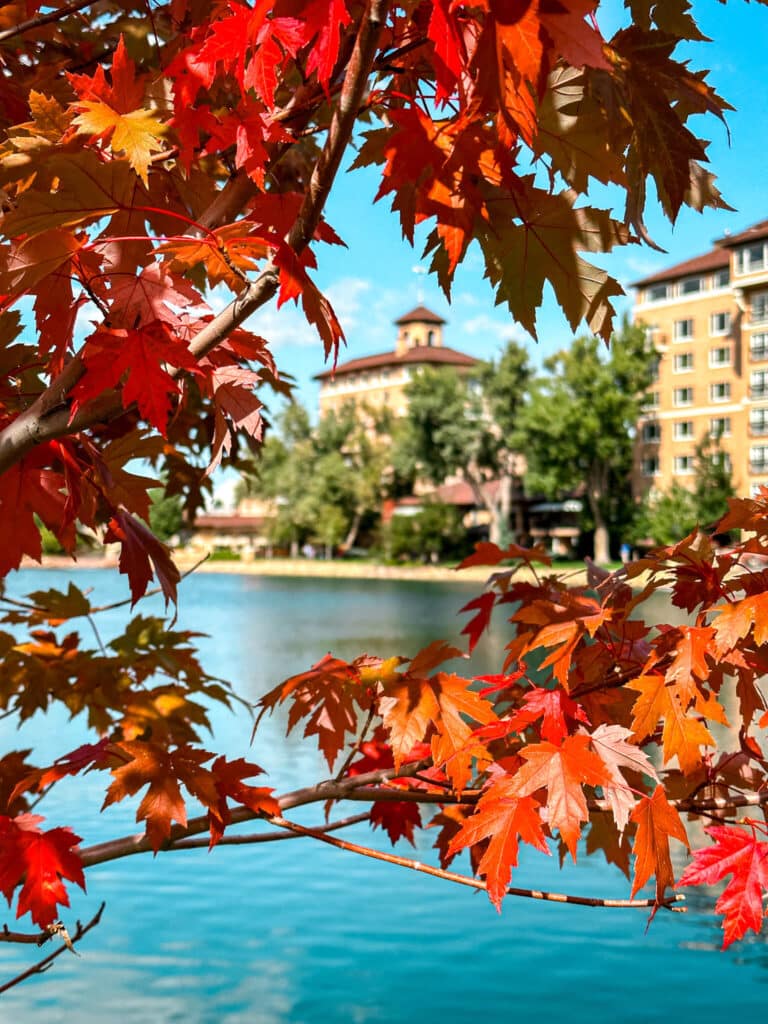 The Broadmoor with red fall leaves
