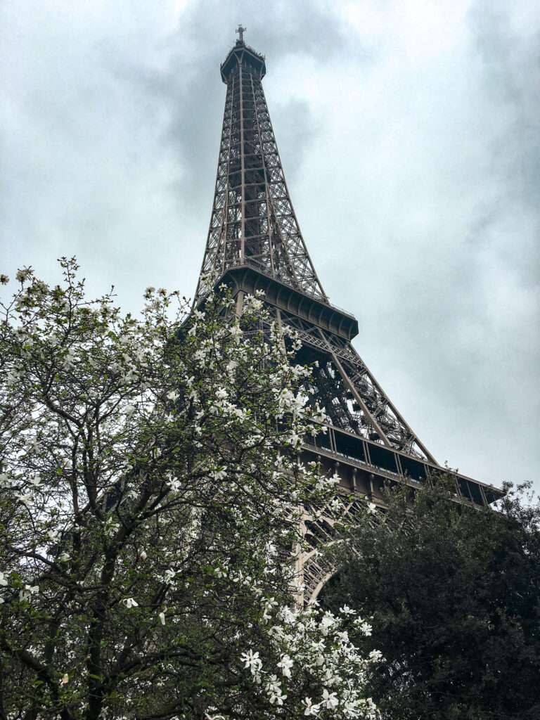 Eiffel Tower with flowers in Paris France