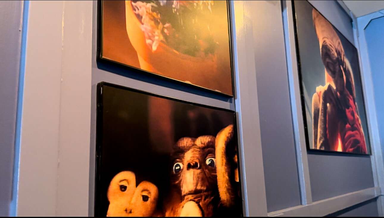 The Ultimate Guide to Universal Studios Rides and Which Ones to Add to ...