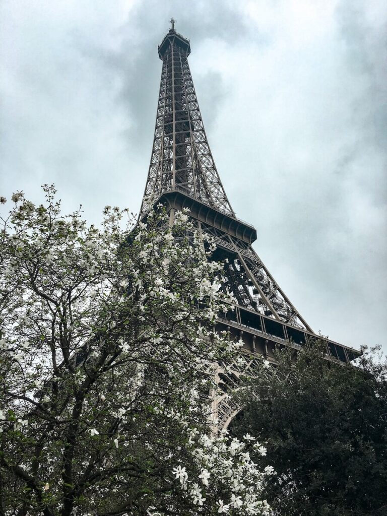 The Eiffel Tower with flowers in the foreground