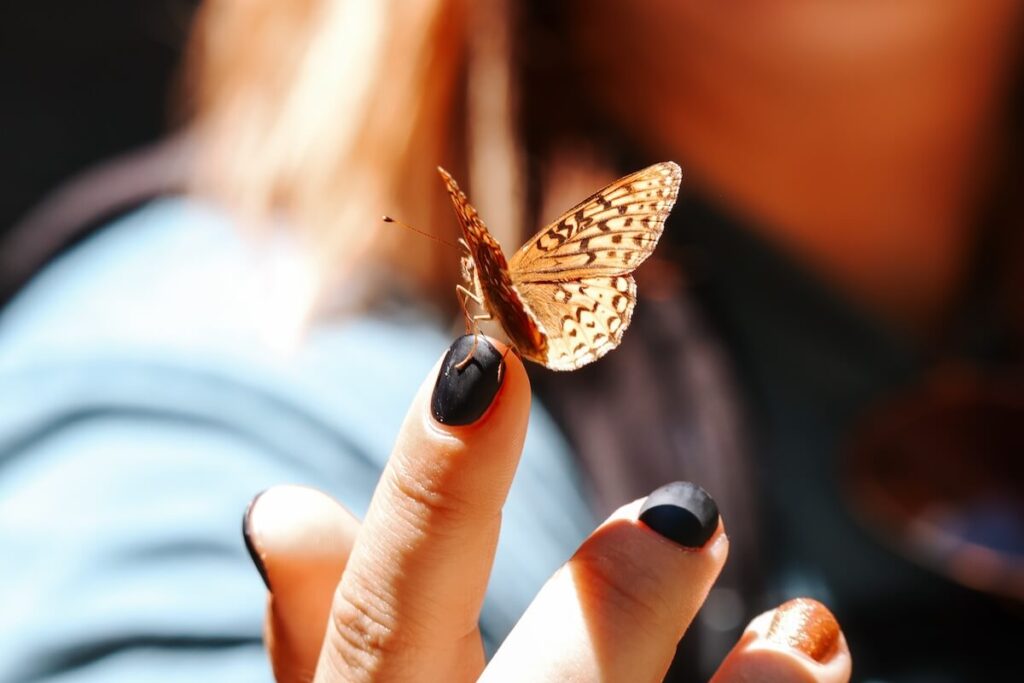 Butterfly on finger of girl on a famous hike in Colorado