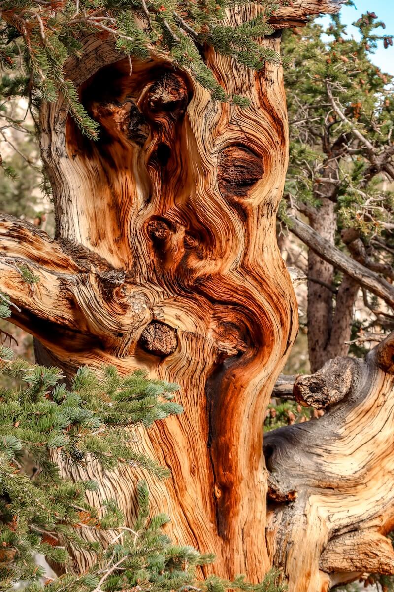 , National Parks