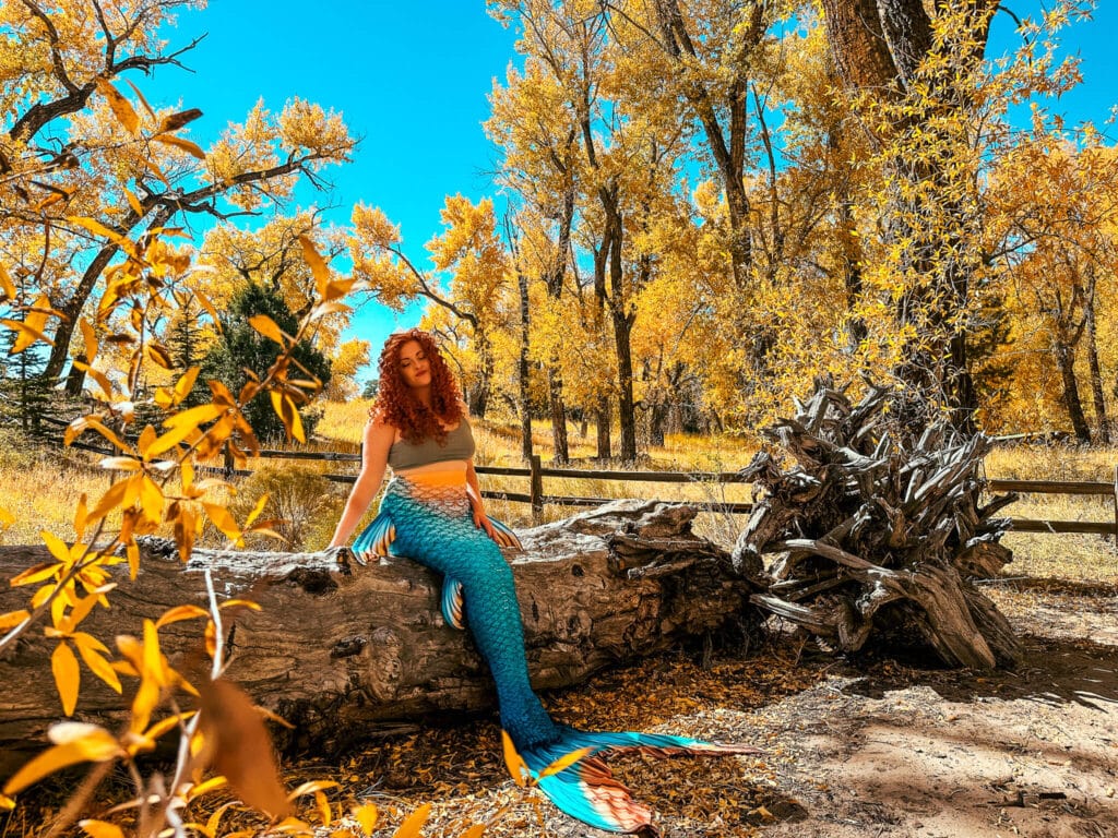 The Bucket List Mermaid in the middle of the forest with yellow aspens.