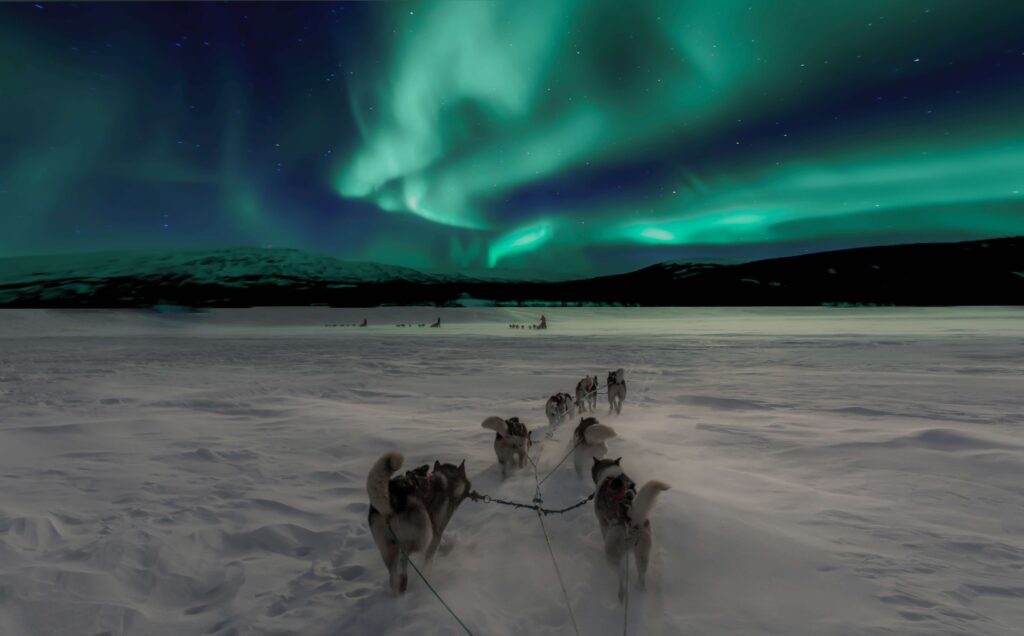Dog sledding with the northern lights!