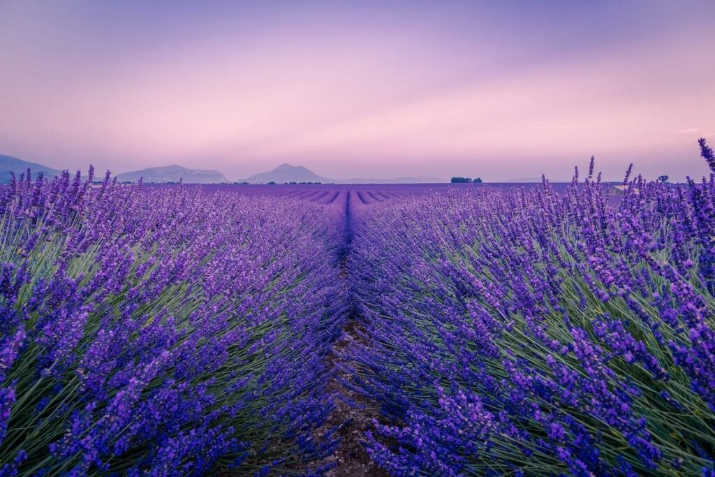 aesthetic summer bucket list, Aesthetic Summer Bucket List: Most Beautiful Things to Do Around the World