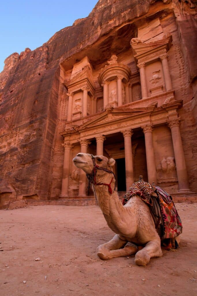A camel in front of Petra in Jordan