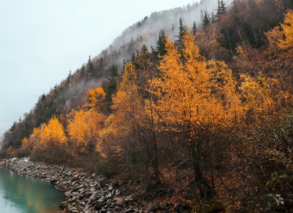 Fall leaves lining a river in Skagway, Alaska on an Alaskan Cruise