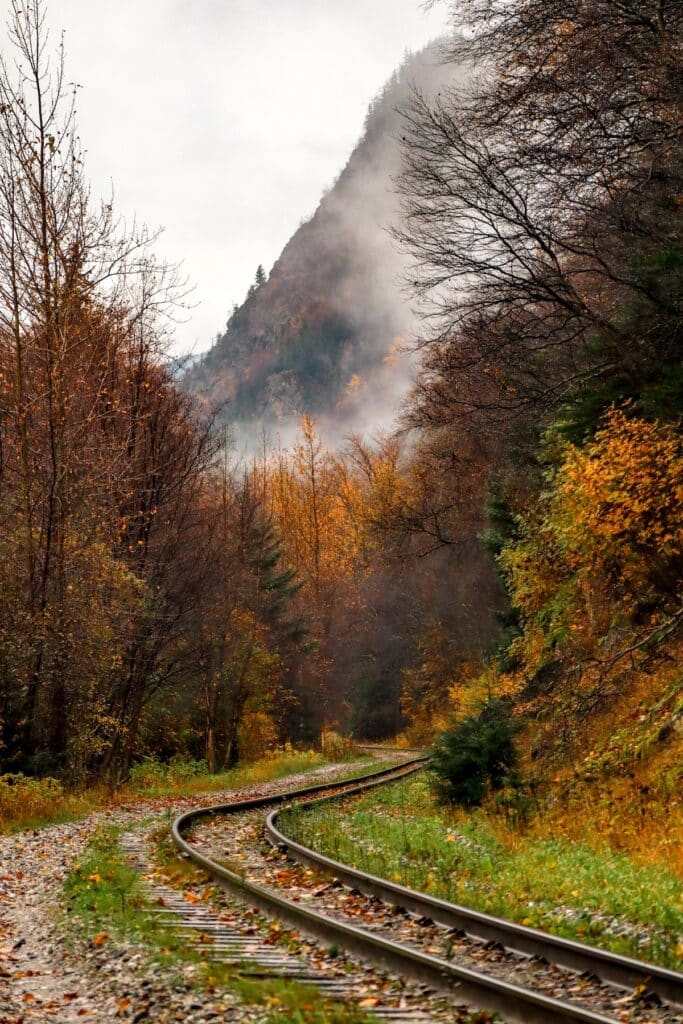 Fall foliage and railroad tracks in Skagway, Alaska on a cruise in October