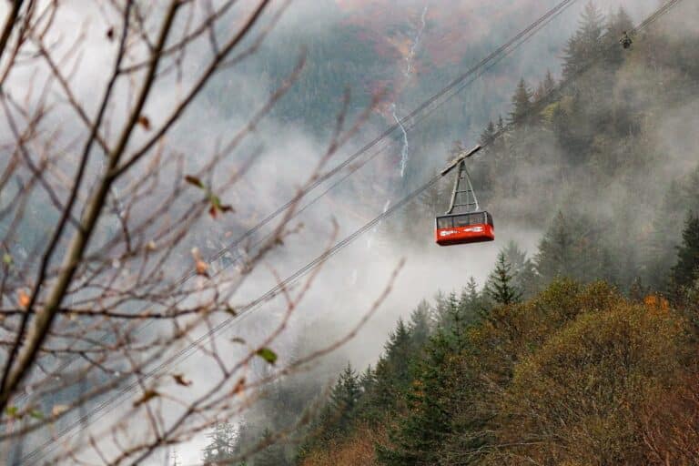 Goldbelt Tram Review – Is It Worth Your Time in Juneau?