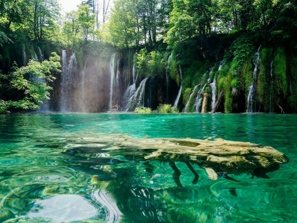 A green lake with a large log in the middle with several waterfalls all around in Plitvička Jezera or Plitvice National park