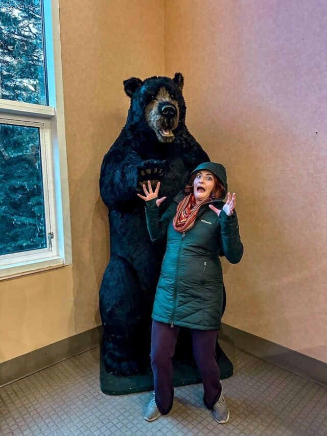 Goldbelt Tram Review Is It Worth Your Time in Juneau?