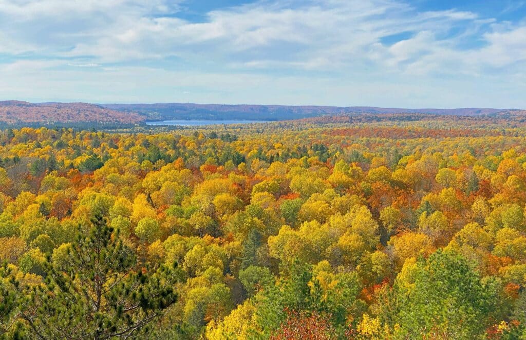 An October Bucket List Idea: see the views over Algonquin Provincial Park
