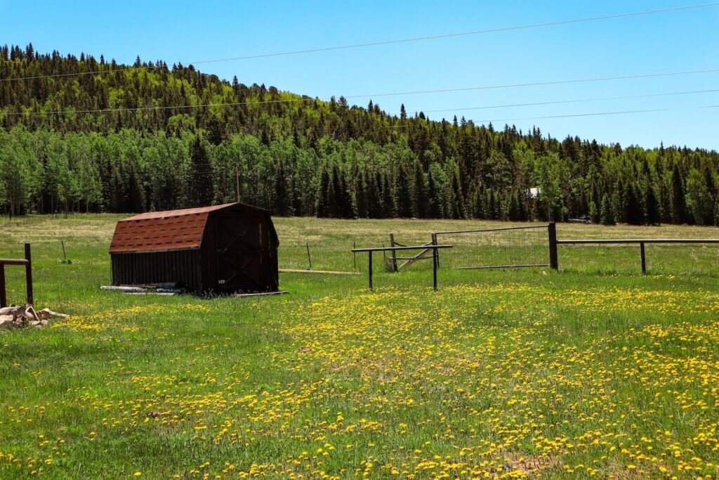 Rocking M Ranch Campground, Rocking M Ranch Campground Review and Guide