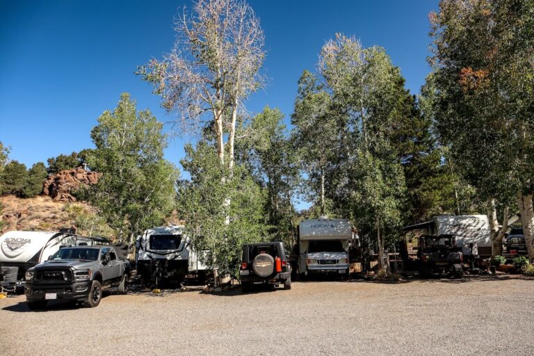 RVs and trailers parked under trees at an RV resort in California