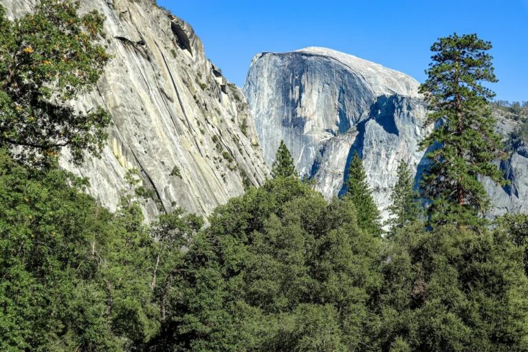 Half Dome in Yosemite National park