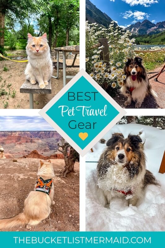 Pet adventure gear, Pet Adventure Gear to Travel with Your Furry Friends