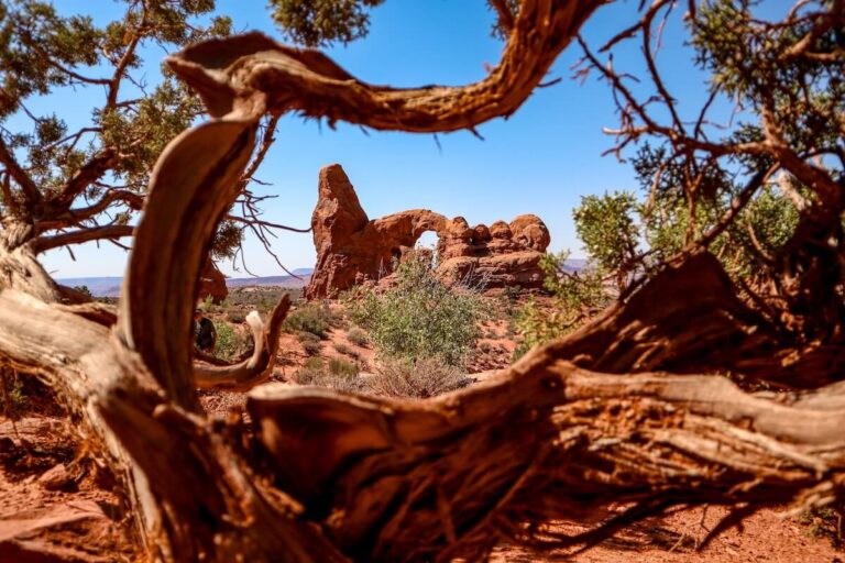 The turret arch through some shrubbery in the North Window. One of the best arches In Arches National Park