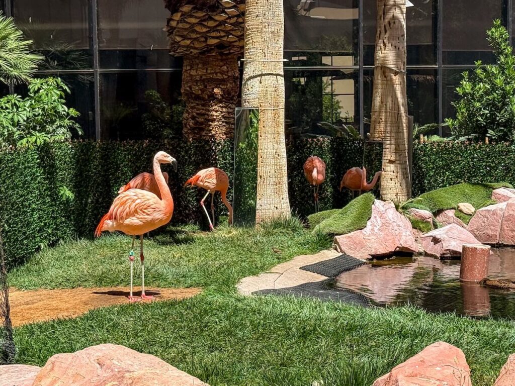 las vegas photo spots, Las Vegas Photo Spots So Good, You’ll Forget You Lost at Blackjack