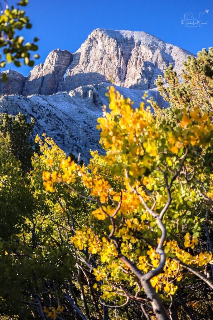 great basin national park, Great Basin National Park Bucket List (Things to Do &amp; Guide)