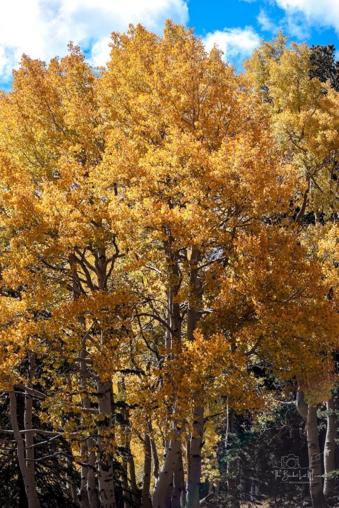 great basin national park photos, How to Take Incredible Great Basin National Park Photos