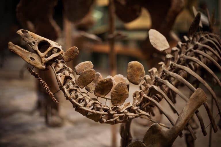 fall photography, How to Take Pictures in a Museum: Photography Tips for Travelers