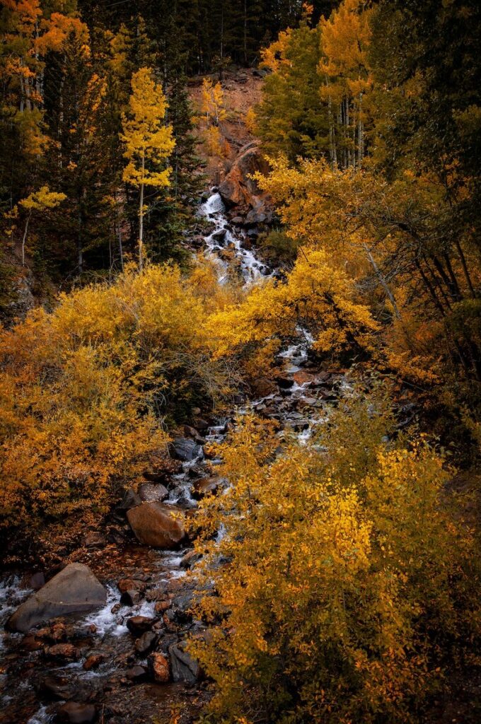 fall photography, Fall Photography to Inspire Your Next Adventure + Tips
