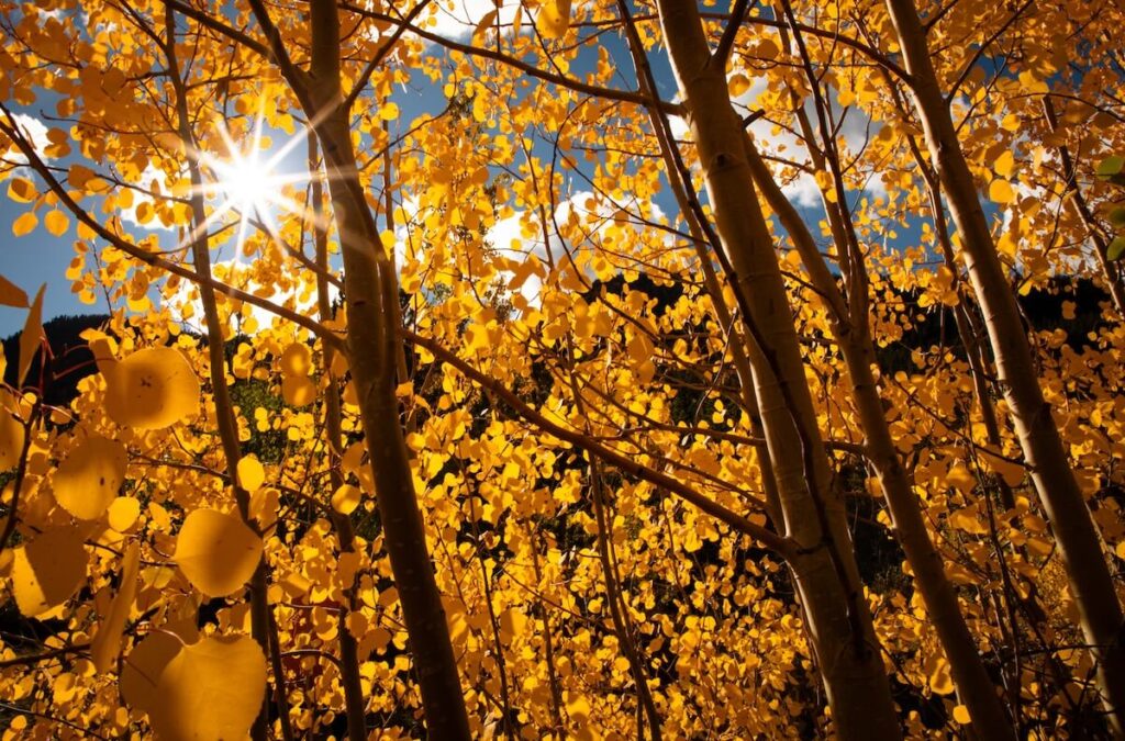 fall photography, Fall Photography to Inspire Your Next Adventure + Tips