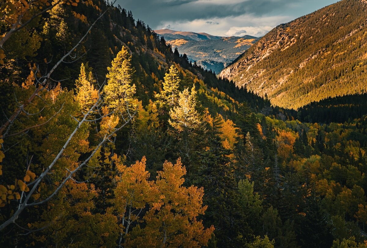 An HDR bracketed images of fall leaves over Guanella Pass in Colorado