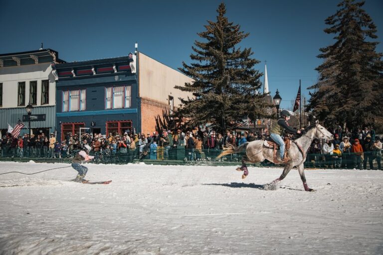 A side view of a white horse pulling a skier while skijorning